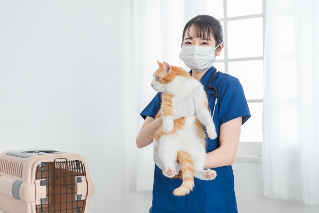 美容室26