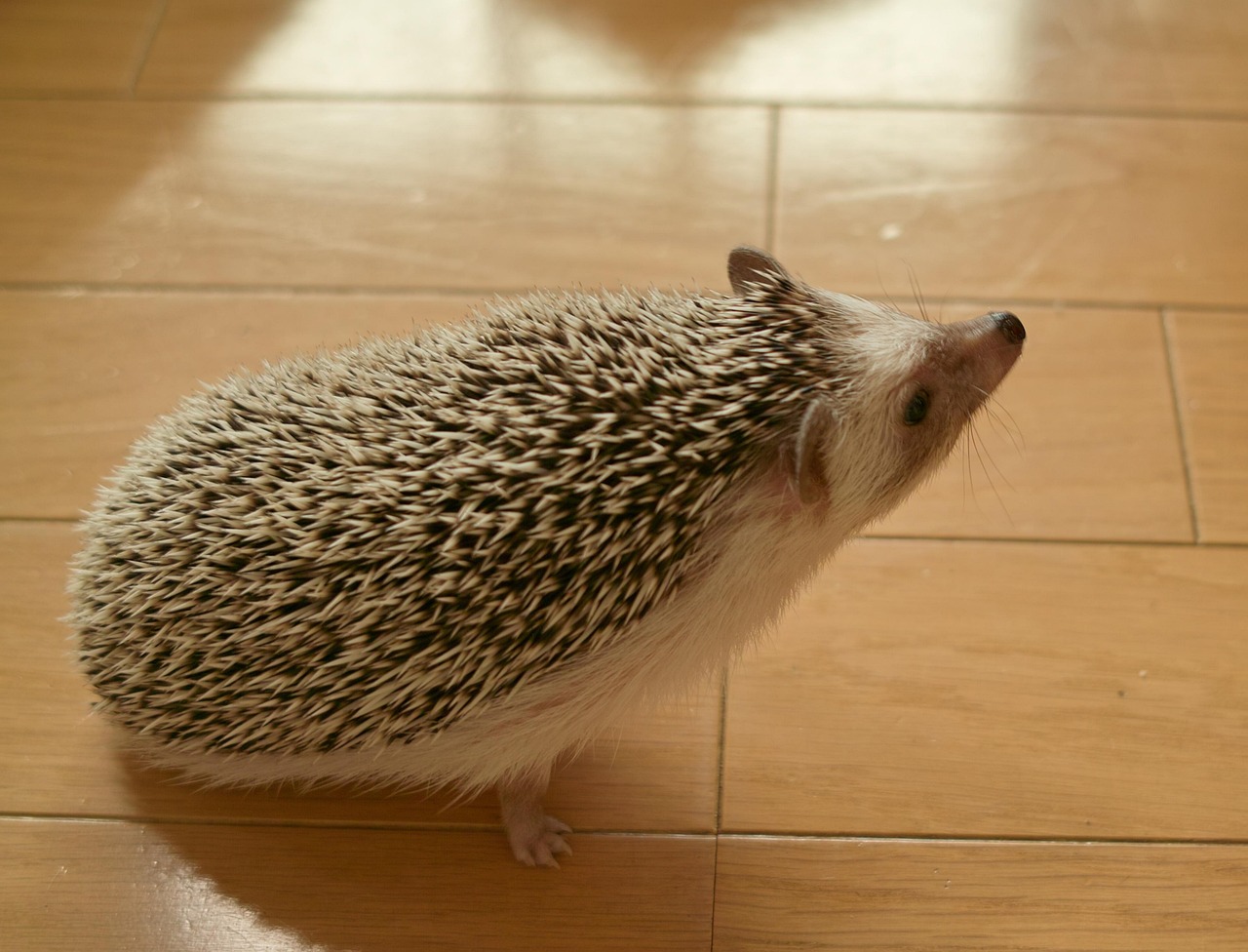 ダウンロード (3)
